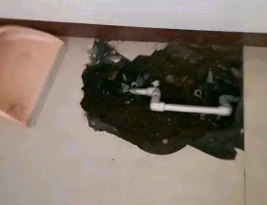 鹿寨卫生间测漏水多少钱